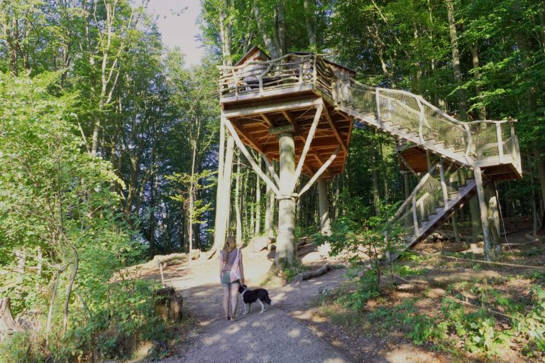 Urlaub mit Hund meine liebsten Reiseziele, inklusive ReiseCheckliste