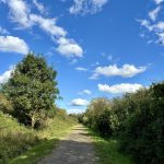 Radtour im Naturschutzgebiet Ooijpolder in Nimwegen