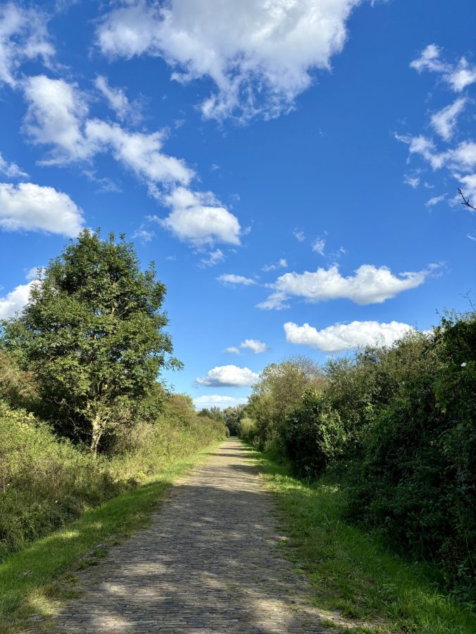 Radtour im Naturschutzgebiet Ooijpolder in Nimwegen